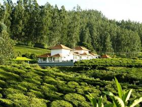 Hotel Green Leaves Ooty