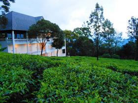 Hotel Tea Harvester Munnar