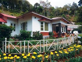 Hotel Olive Brook Munnar