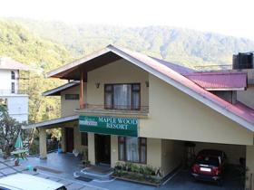 The Maplewood Resort Gangtok