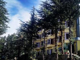 Woodstock Resort Shimla