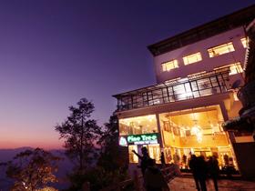 Pine Tree Spa Resort Darjeeling