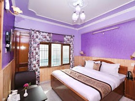 Hotel Mount View Shimla