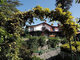 Chapslee Hotel Shimla