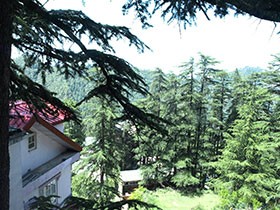 Hotel City Inn Shimla